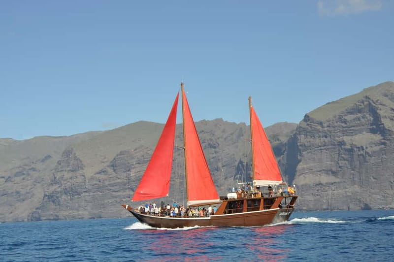Adeje: Whale Watching, Lunch & Swim Stop at Los Gigantes - Masca Bay swim stop: when you get it, it’s the best part