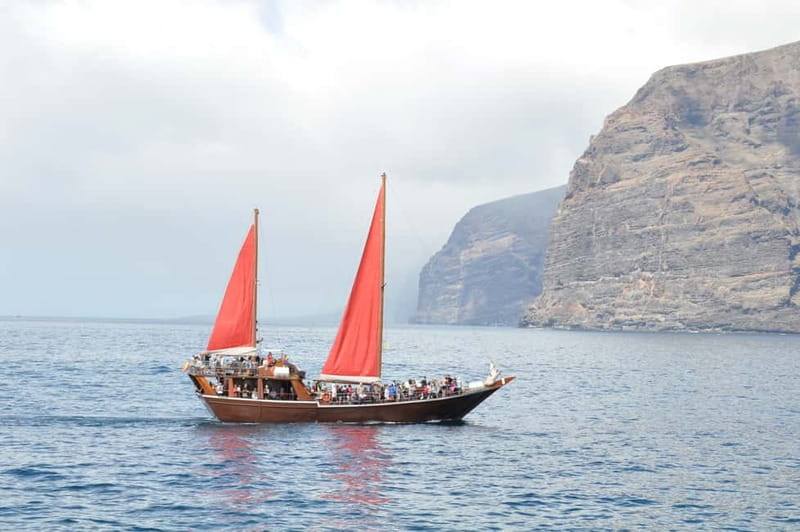 Adeje: Whale Watching, Lunch & Swim Stop at Los Gigantes - Who this tour suits best in Adeje and Costa Adeje