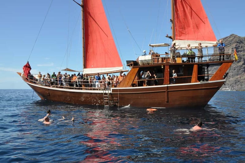 Adeje: Whale Watching, Lunch & Swim Stop at Los Gigantes - Practical planning: what to bring and how to get ready