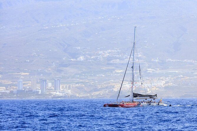 Adults Only Tenerife Freebird Whale Dolphin Catamaran with Lunch - Pickup and timing at 9:40 am, the part that can make or break it