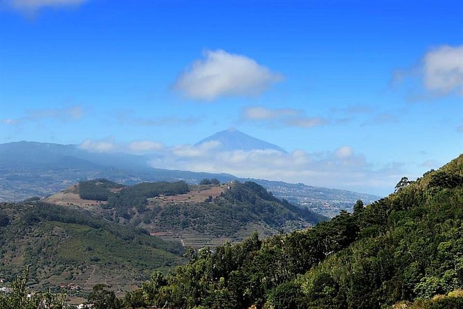 Amazing Anaga - Your guide, your pace: what Andy adds to the day