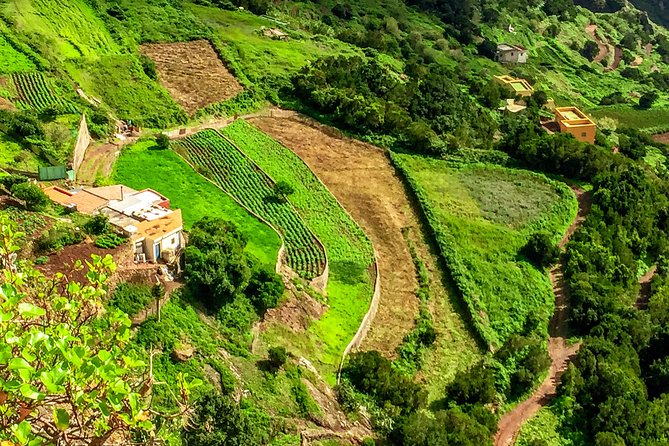 Anaga Private Tour: Valleys of Nature and Tradition - Mirador Pico del Inglés and the shortcut to understanding Anaga’s geology