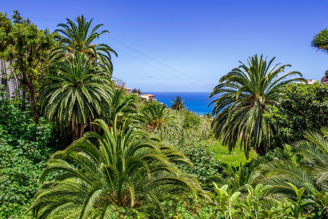 Anaga Private Tour: Valleys of Nature and Tradition - Taganana’s narrow lanes, then black-sand drama at Roque de las Bodegas, Álmáciga, Benijo