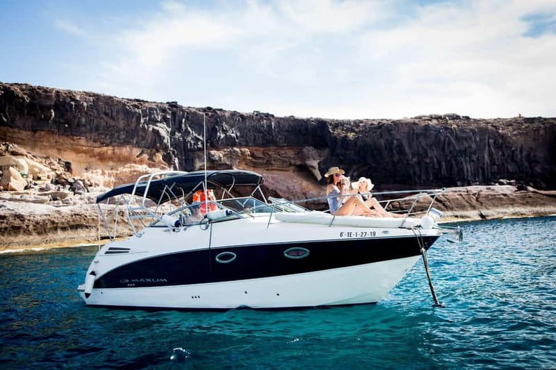 Armani Private Charter, 2 to 6 hours - Wildlife watching with distance: dolphins and whales without the chaos