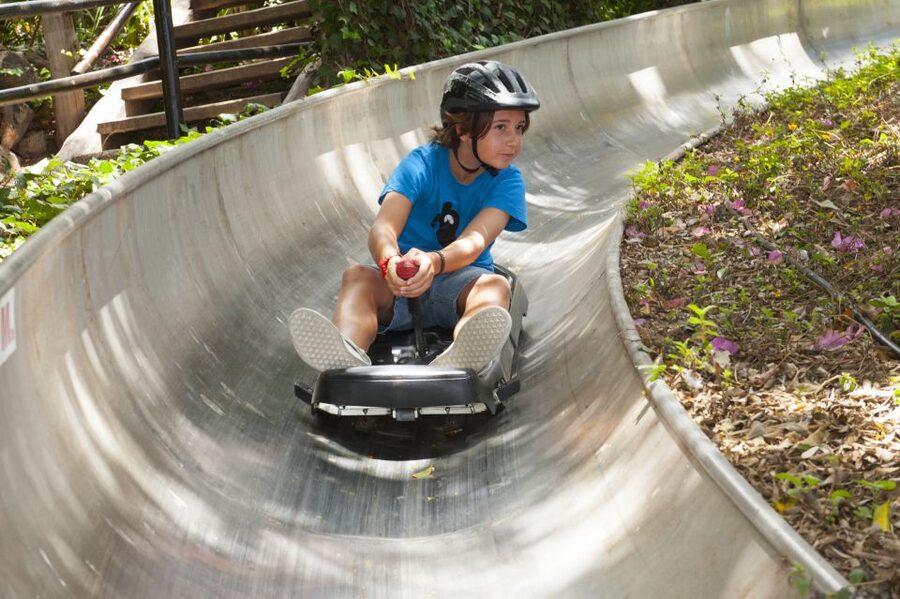 Arona: Entry Ticket to Tenerife's Jungle Park Zoo - Why Arona Jungle Park Feels Like a Real Jungle