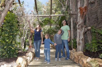 Entry Ticket to Tenerife’s Jungle Park Zoo