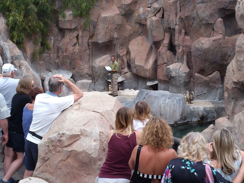 Arona: Entry Ticket to Tenerife's Jungle Park Zoo - Getting There From Tenerife’s South and Returning Easy