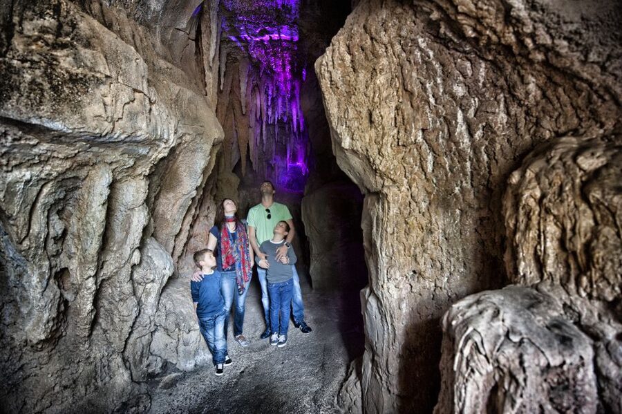 Arona: Entry Ticket to Tenerife's Jungle Park Zoo - Who This Jungle Park Is Best For