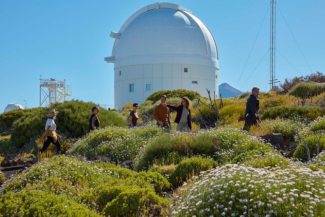 Astronomic Small-Group Tour on Tenerife Teide Observatory - Booking Value: Why the Transfer and Tickets Matter