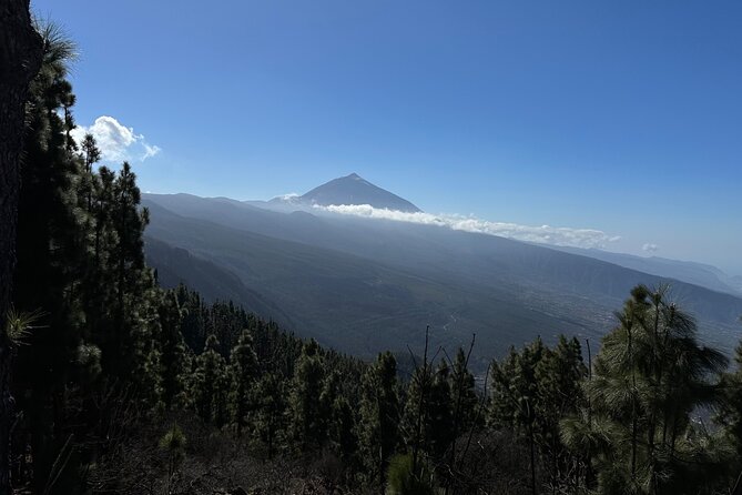 Authentic Tenerife, Teide and Masca on a Private Tour. - Chinyero Volcano and the shift into Teide National Park