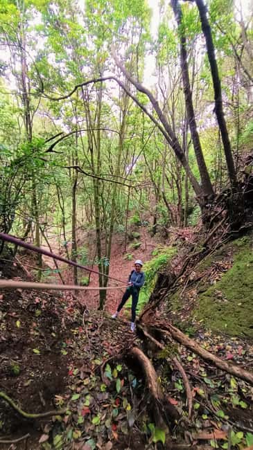 Barranquismo Anaga Tenerife - Guided canyon time in Anaga Rural Park: waterfalls, canyons, and controlled thrills