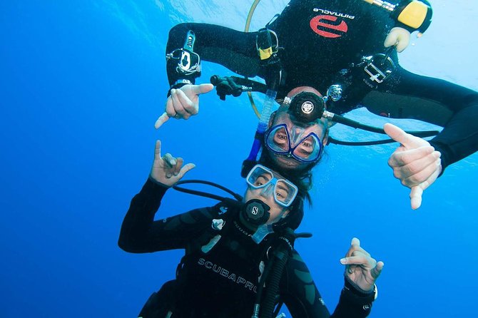 Basic Diver course for beginners with 1 dive in the Ocean - Key Highlights at a Glance