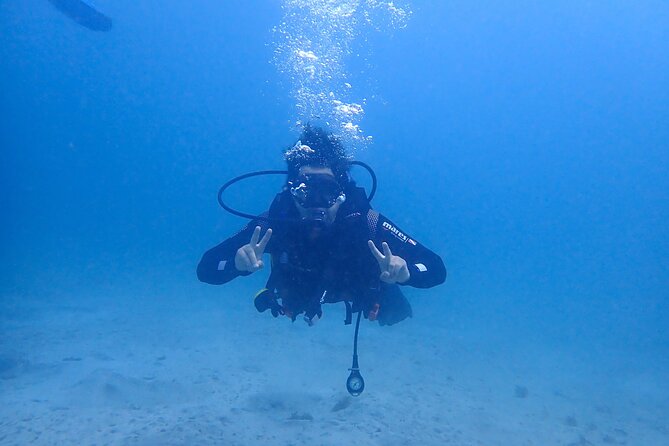 Basic Diver course for beginners with 1 dive in the Ocean - From Theory to the Ocean: What the One Underwater Session Really Means