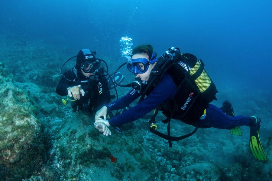 Beginner Scuba Dive with Scubapoint Tenerife in Turtle Area - Key things that make this Tenerife starter scuba session work