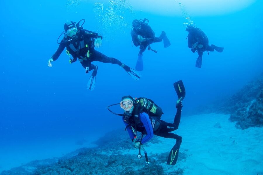 Beginner Scuba Dive with Scubapoint Tenerife in Turtle Area - Puerto Colón meeting, then straight to training