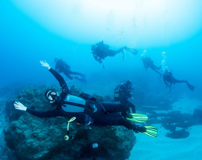 Beginner Scuba Dive with Scubapoint Tenerife in Turtle Area - The boat trip to the Turtle Area: a simple transfer, less fatigue