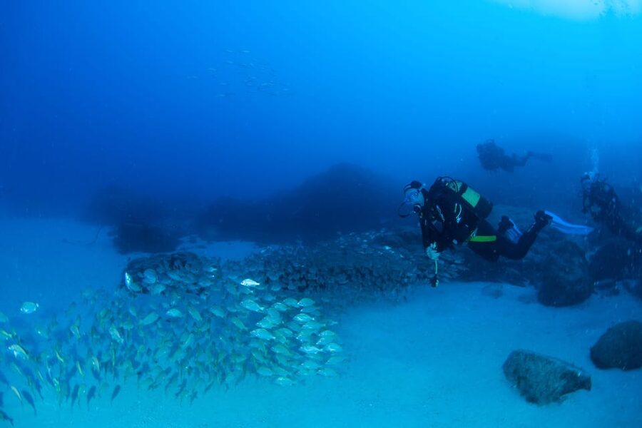 Beginner Scuba Dive with Scubapoint Tenerife in Turtle Area - Equipment and the instructor in the water: value beyond the price tag