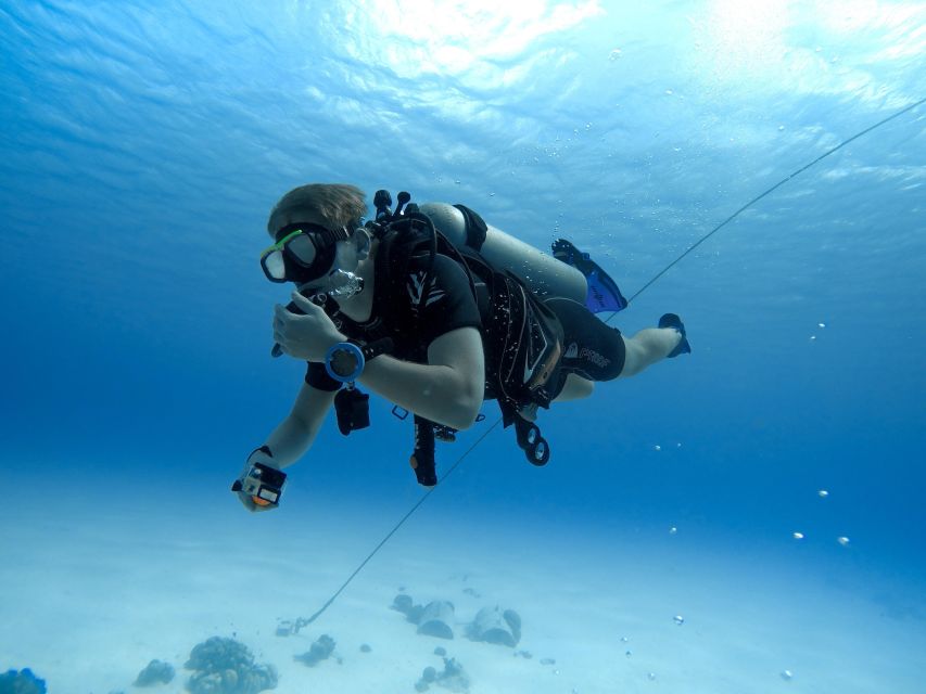 Beginner Scuba Dive with Scubapoint Tenerife in Turtle Area - Instructor language, pacing, and why small groups matter
