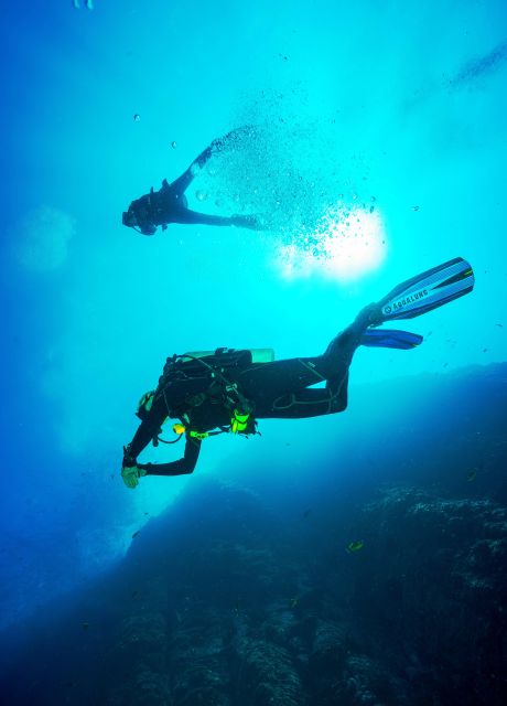 Beginner Scuba Dive with Scubapoint Tenerife in Turtle Area - On-land basics: what you learn before you’re in the Atlantic