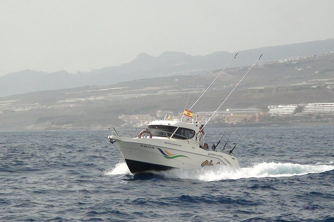 Best Fishing experience in Tenerife island - Price and value: what $95.31 actually buys you