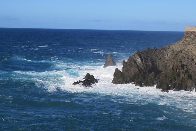 Boat Excursion to visit underwater lava tongues - Las Galletas Departure: Smooth Start, Simple End