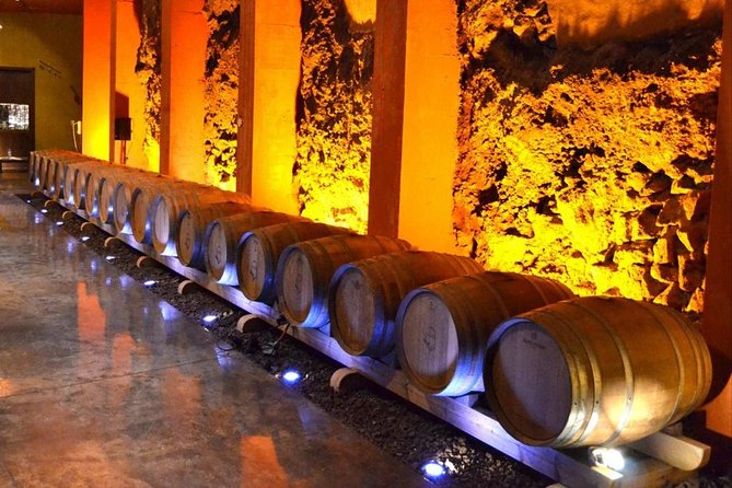 Bodegas Monje Winery Ticket w/Wine Tasting & Mojo Sauce Workshop - The meal: sit down, eat your mojos