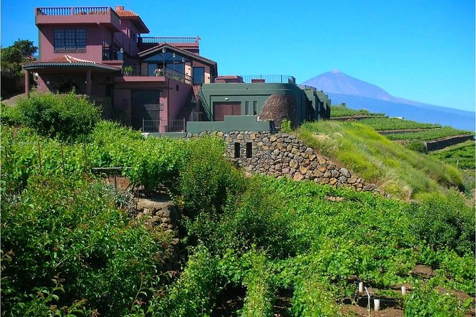 Bodegas Monje Winery Ticket w/Wine Tasting & Mojo Sauce Workshop - Timing and languages: choose your slot smart
