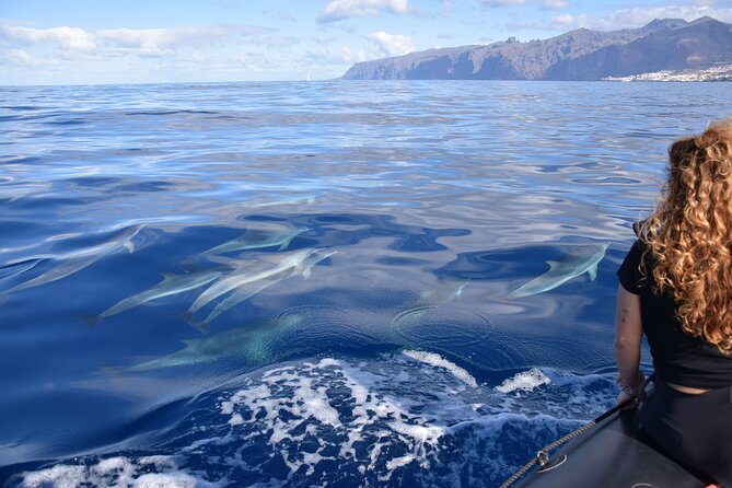 Bonadea II Ecological Whale Watching, 2 hours - Practical Considerations: Weather, Weight Limits, and What to Wear