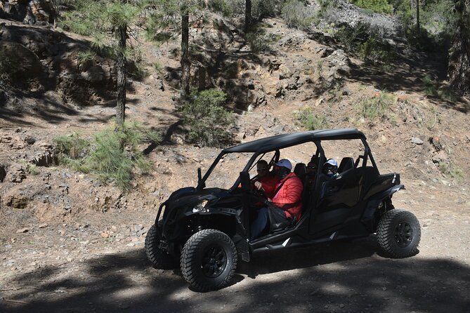 Buggy tour to Teide in Tenerife - Teide National Park stop: the cold gets real, fast