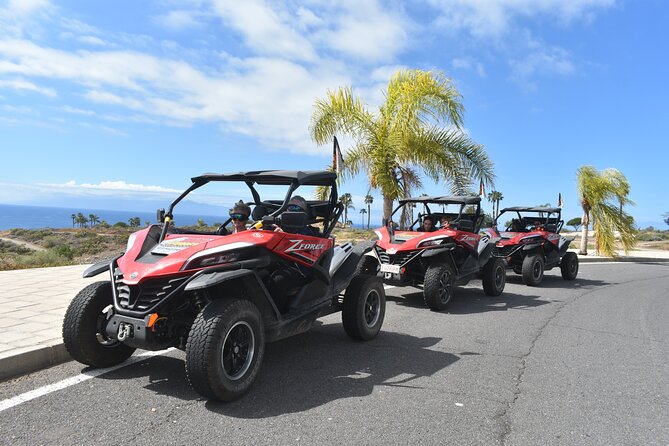 Buggy tour to Teide in Tenerife - Cho stop and Canarian crops: rural feel, but watch for road expectations