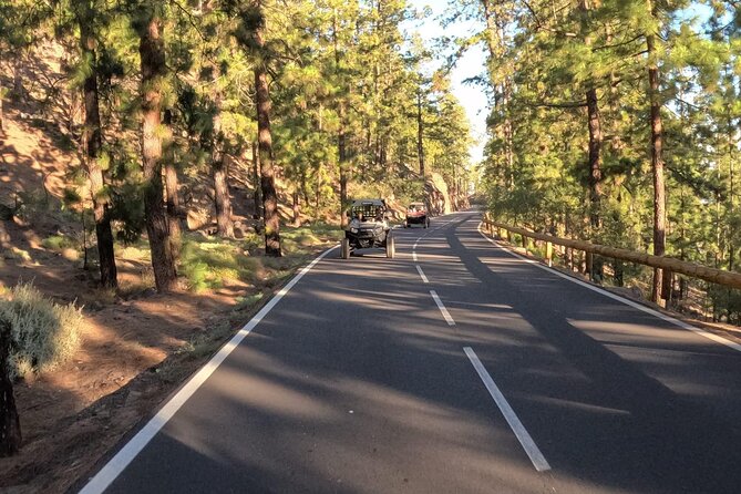 Buggy Tour Volcano Teide Day & Sunset - Price and value: $240.15 per group for up to 2