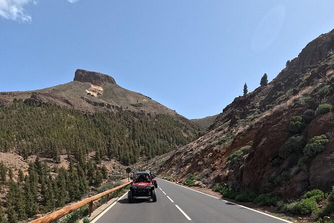 Buggy Tour Volcano Teide Day & Sunset - English-speaking guide: what that does for you