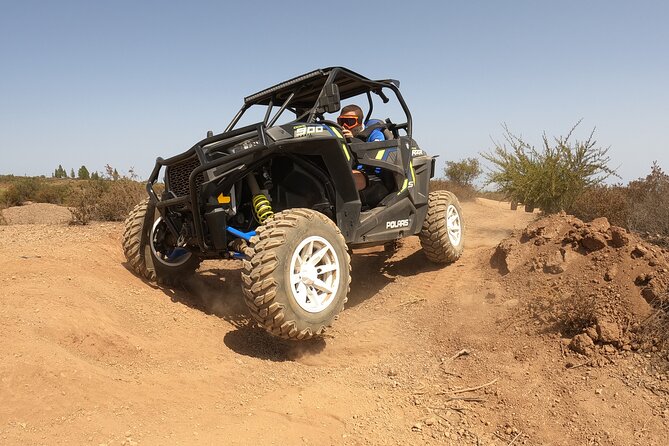 BUGGY TOUR VOLCANO TEIDE with wine degustation - Wine and Tapas at a Canarian Bodega: The Payoff Stop