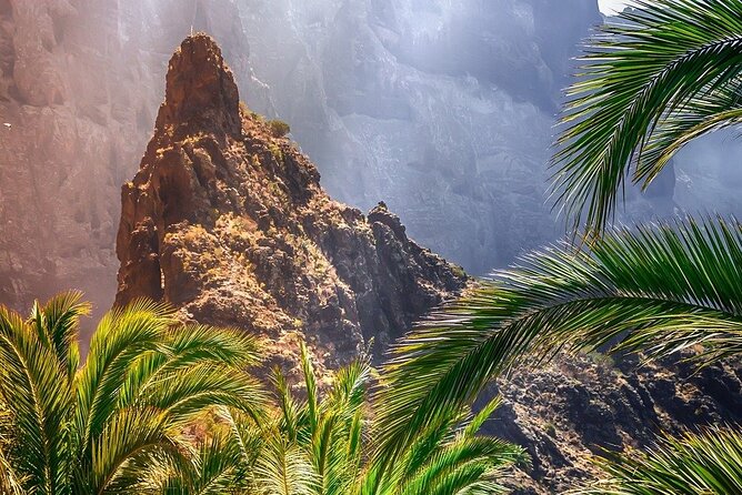 Cabrio Bus Full Day Guided Tour of Teide (SOUTH ONLY) - The Food and Souvenir Outlet Stop: A Chance to Taste, Not a Trap