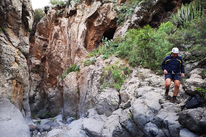 Canyoning in a Natural Protected Space - The Dragon Tree Moment: Dracaena Draco in the Middle of Canyons