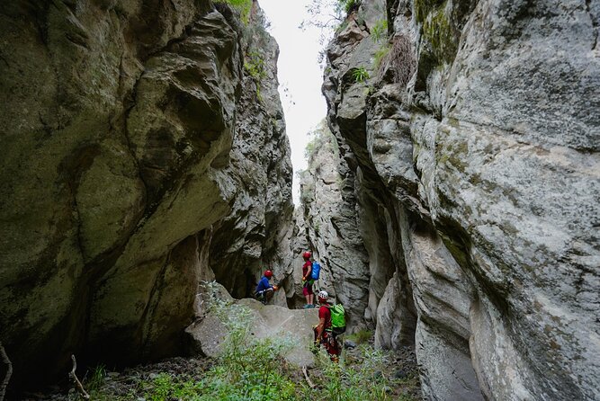 Canyoning in Tenerife South - Price and Value: What You Get for $96.33