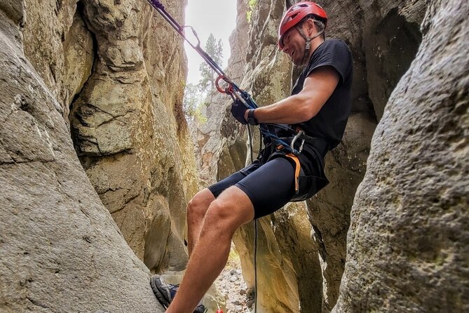 Canyoning in Tenerife South - The Climb Out Through Canary Pine Trees
