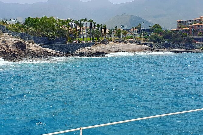 CATAMARAN OCEAN CRUISE TOUR, Food & Drinks included! - A simple plan: Puerto Colón, La Gomera direction, then Playa de los Hippies