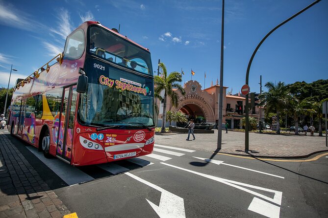 City Sightseeing Santa Cruz de Tenerife Hop-On Hop-Off Bus Tour - Practical Tips to Make Your Day Go Smoothly