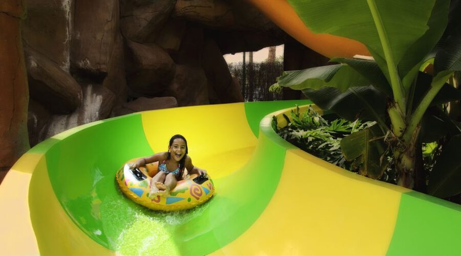 Costa Adeje: Aqualand Water Park Ticket with Dolphin Show - Thrill rides overview: Tsunami, Cyclones, Rapids, and the big slide lineup