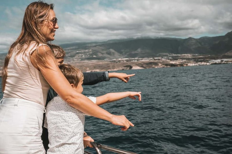 Costa Adeje: Catamaran Tour, Snorkelling, Snacks & Drinks - Wildlife Watching From the Water: Dolphins, Turtles, and How It Fits the Day