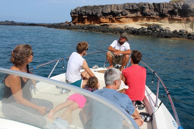Costa Adeje | Cetacean sighting in Tenerife South - Key highlights I’d circle first