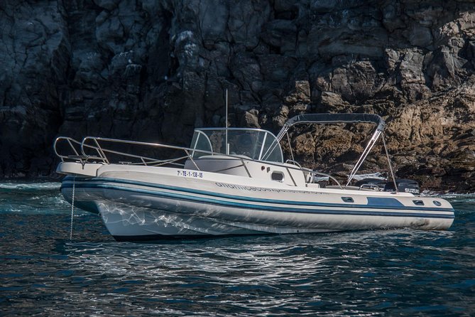 Costa Adeje | Cetacean sighting in Tenerife South - When this tour is the right fit, and when it is not