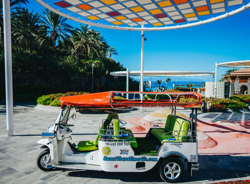 Costa Adeje: Double Tuk Tuk Tour - Double Tuk Tuk value: is $45 fair for a 2-hour sampler?