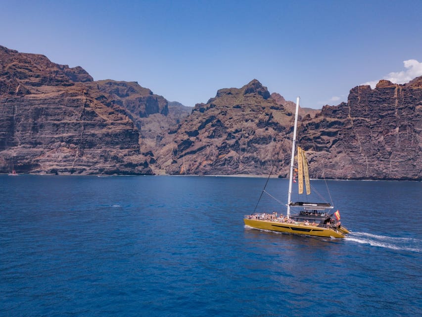 Costa Adeje: Masca and Los Gigantes Whale Watching Cruise - Key highlights at a glance
