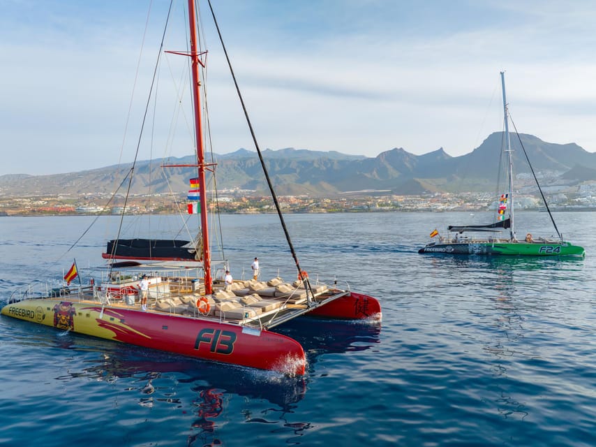 Costa Adeje: Masca and Los Gigantes Whale Watching Cruise - Costa Adeje to Puerto Colón: how this trip starts right
