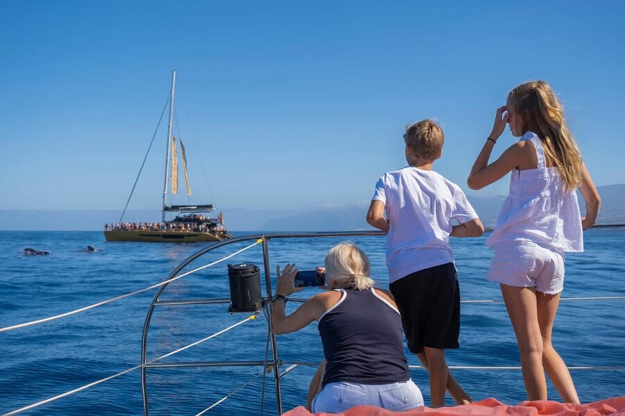 Costa Adeje: Masca and Los Gigantes Whale Watching Cruise - Room to move and the crew experience: why people like Freebird