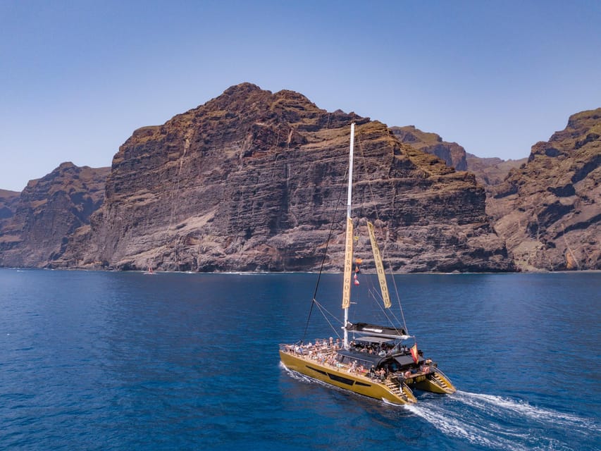 Costa Adeje: Masca and Los Gigantes Whale Watching Cruise - Price and value: is $71 a fair deal for Costa Adeje whale watching?