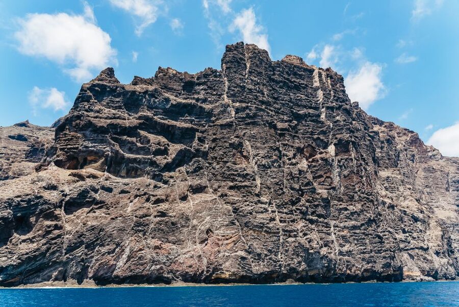 Costa Adeje: Masca and Los Gigantes Whale Watching Cruise - Who should book this Costa Adeje catamaran cruise