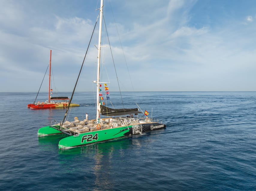 Costa Adeje: Masca and Los Gigantes Whale Watching Cruise - Los Gigantes and the whale watching zone: what you should expect to see